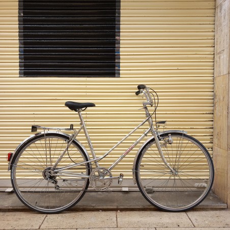 Bicicleta Rotary